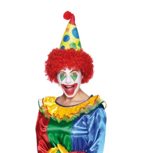 Clownshoed met pruik