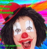 Clownspruik zwart