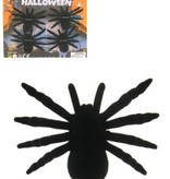 Spinnen - 4 op kaart