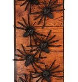 Nepspinnen 8 op kaart