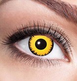 Lenzen Leeuw Halloween