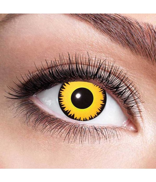 Lenzen Leeuw Halloween