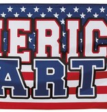 USA banner American Party!