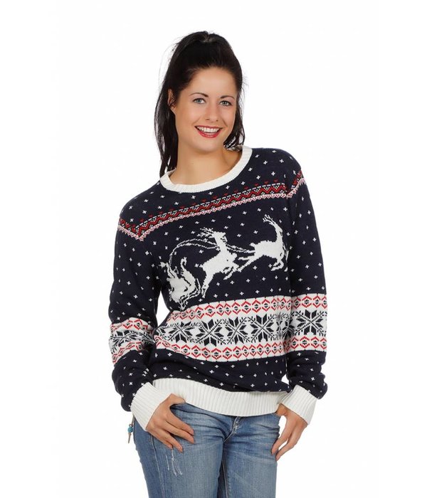 Kersttrui blauw met slee