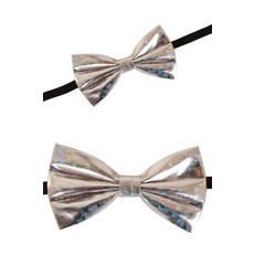 Strik hologram zilver