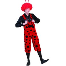 Lieveheersbeest Overall Danny