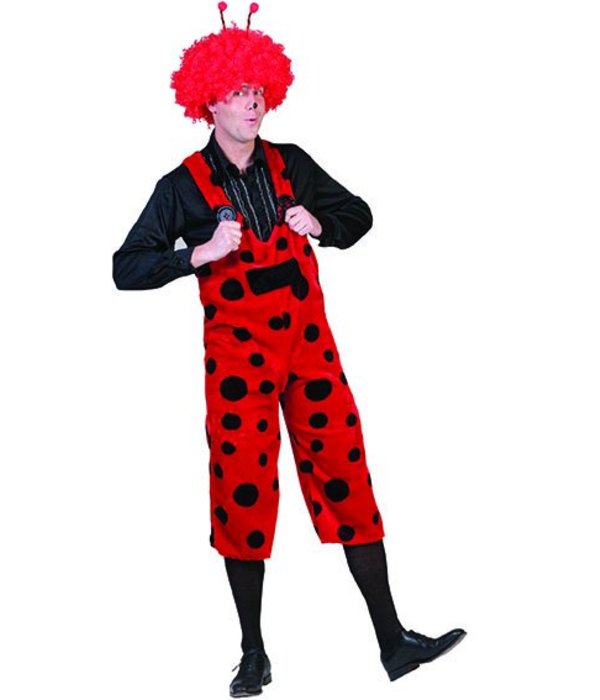 Lieveheersbeest Overall Danny