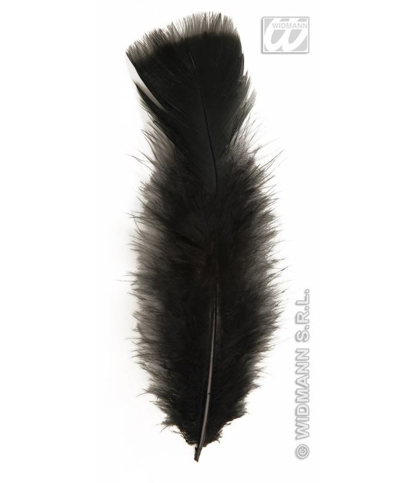 Zakje met 50 veertjes zwart