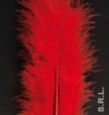 Zakje met 50 veertjes rood