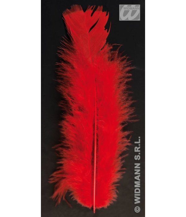Zakje met 50 veertjes rood