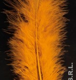 Zakje met 50 veertjes oranje