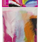 Zakje met 50 veertjes meerkleurig