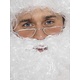 Kerstman bril