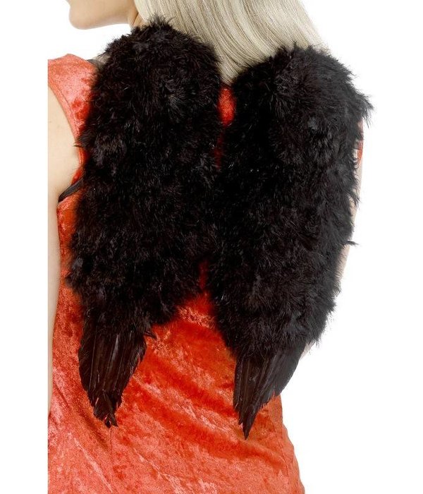 Engelen vleugels veren zwart