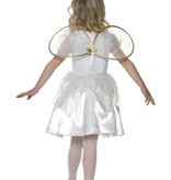 Kleine feeenpakje kind