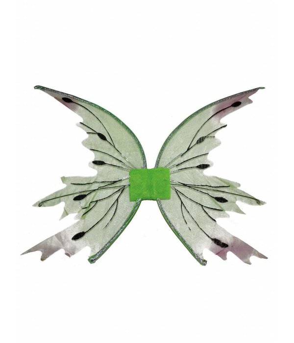 Elfenvleugels kind 43cm