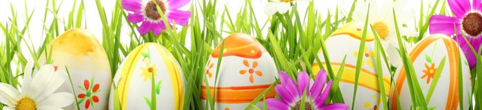 Pasen 2018; Welk Paashaas pak is jouw favoriet?