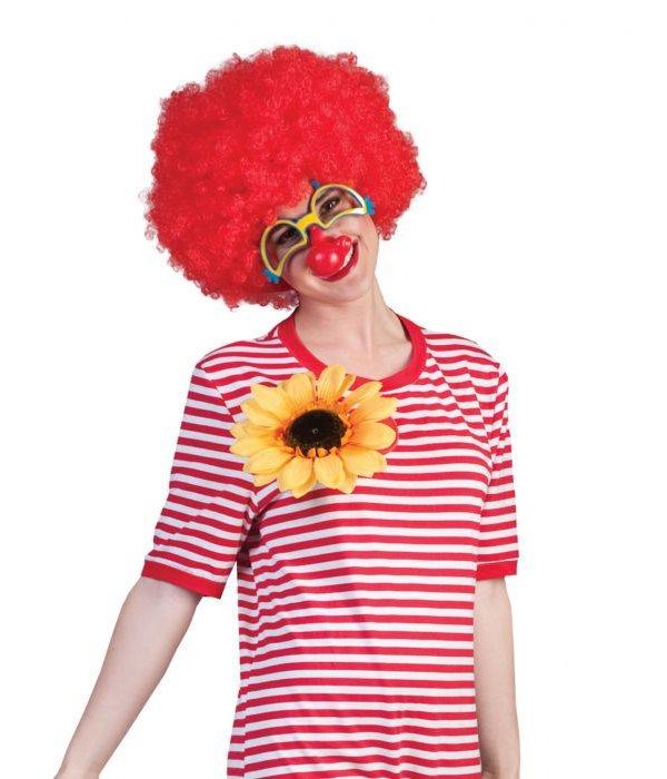 Spuitbloem Clown Luxe