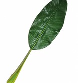Bananenblad jungle 90cm