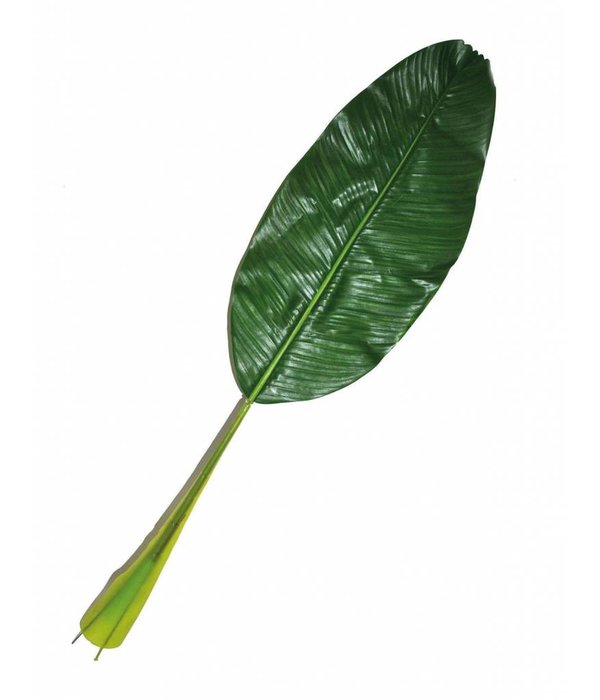 Bananenblad jungle 90cm
