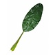 Bananenblad jungle 90cm