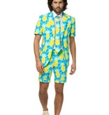 Zomer Maatpak Ananas