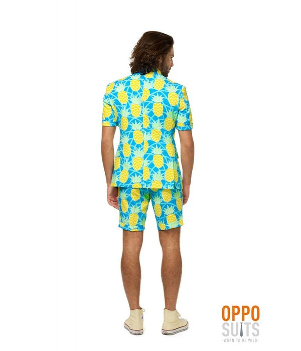 Zomer Maatpak Ananas