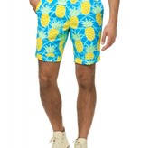 Zomer Maatpak Ananas