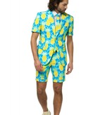 Zomer Maatpak Ananas