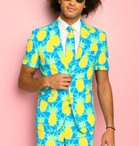 Zomer Maatpak Ananas