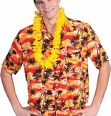 Hawaiibloese Orange Sunset