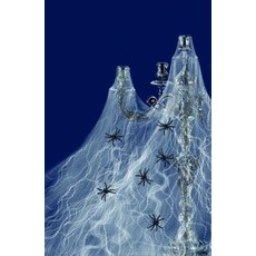 Decoratie spinnenweb met 6 spinnen