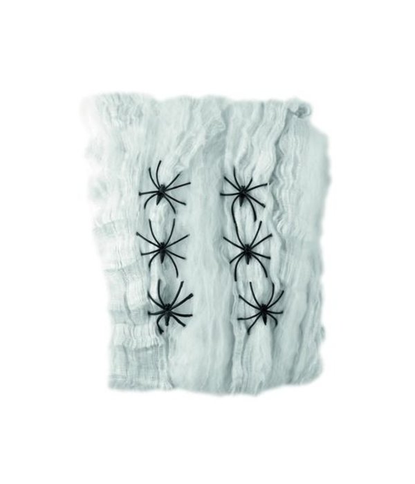 Decoratie spinnenweb met 6 spinnen