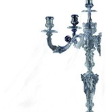 Decoratie spinnenweb met 6 spinnen