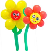 Ballonnenset Bloemen 2 Stuks