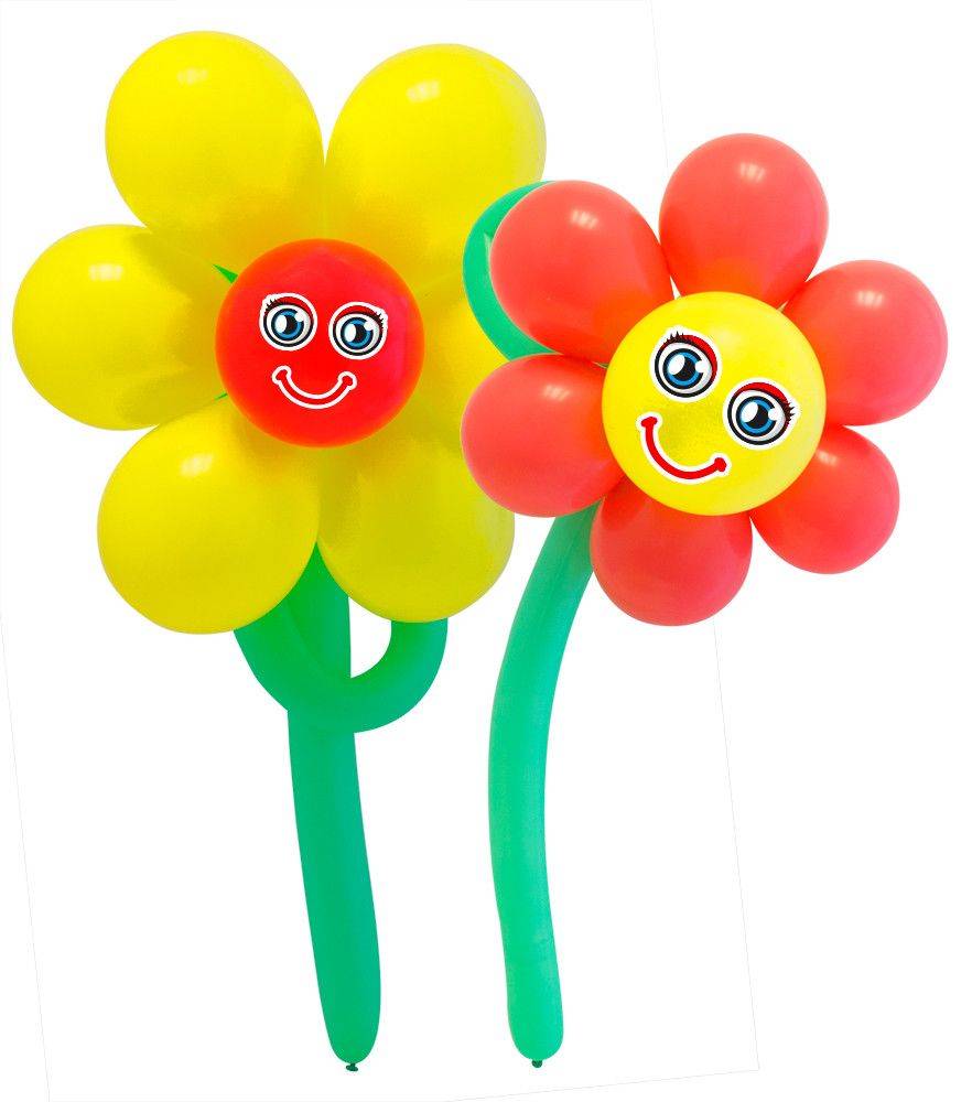 Ballonnenset Bloemen 2 Stuks afbeelding