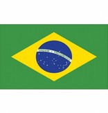 Braziliaanse vlag 90x150cm