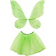 Tinkerbell tutu en vleugels volwassen