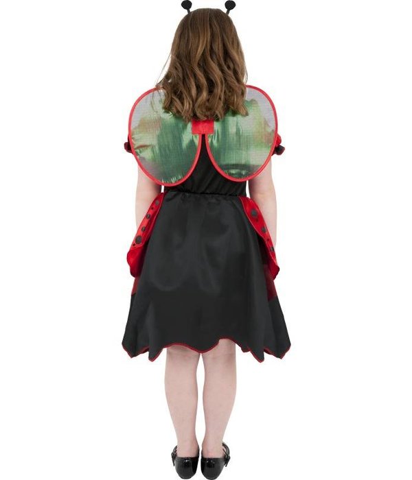 Lieveheersbeest kind