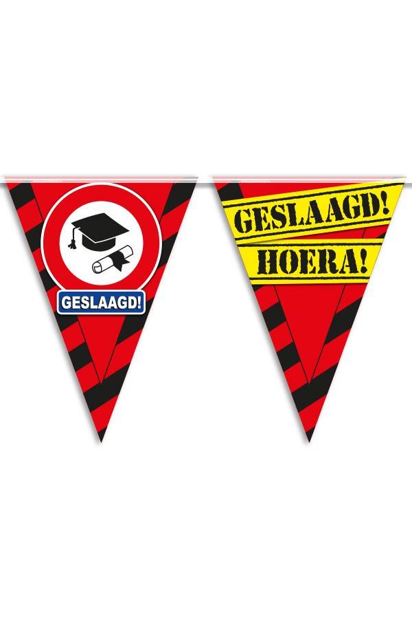 Vlaggenlijn hoera geslaagd afbeelding