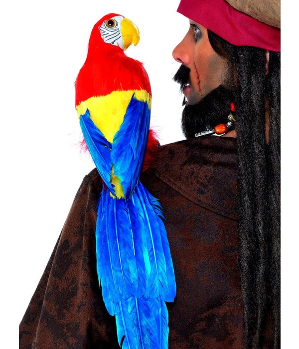 Papagaai met elastiekhouder