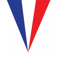 Vlaggenlijn Frankrijk 5 meter 10 vlaggen