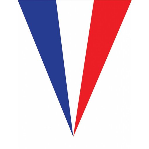 Vlaggenlijn Frankrijk 5 meter 10 vlaggen