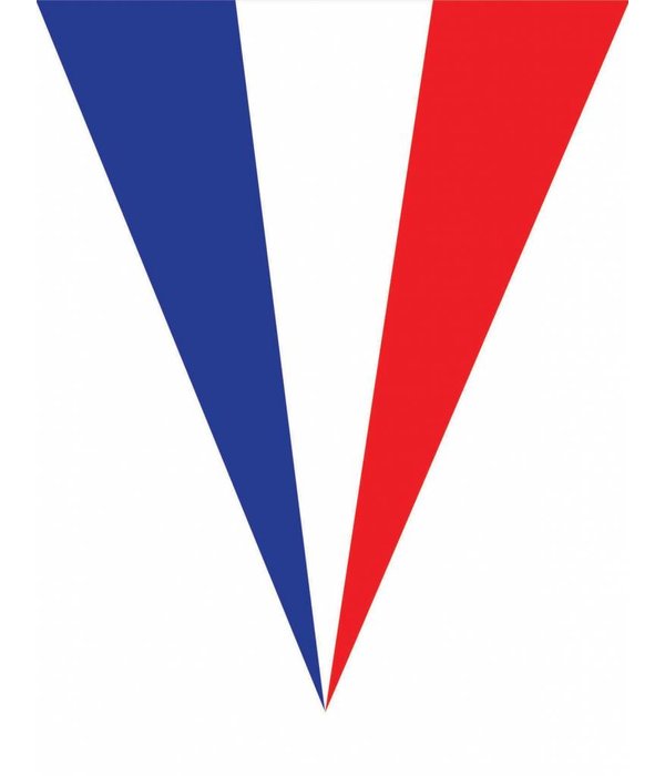 Vlaggenlijn Frankrijk 5 meter 10 vlaggen