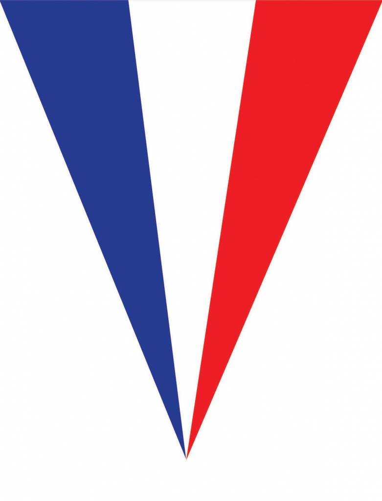 Vlaggenlijn Frankrijk 5 meter 10 vlaggen