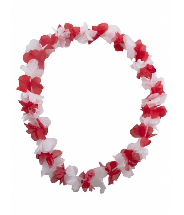 Bloemenslinger rood/wit
