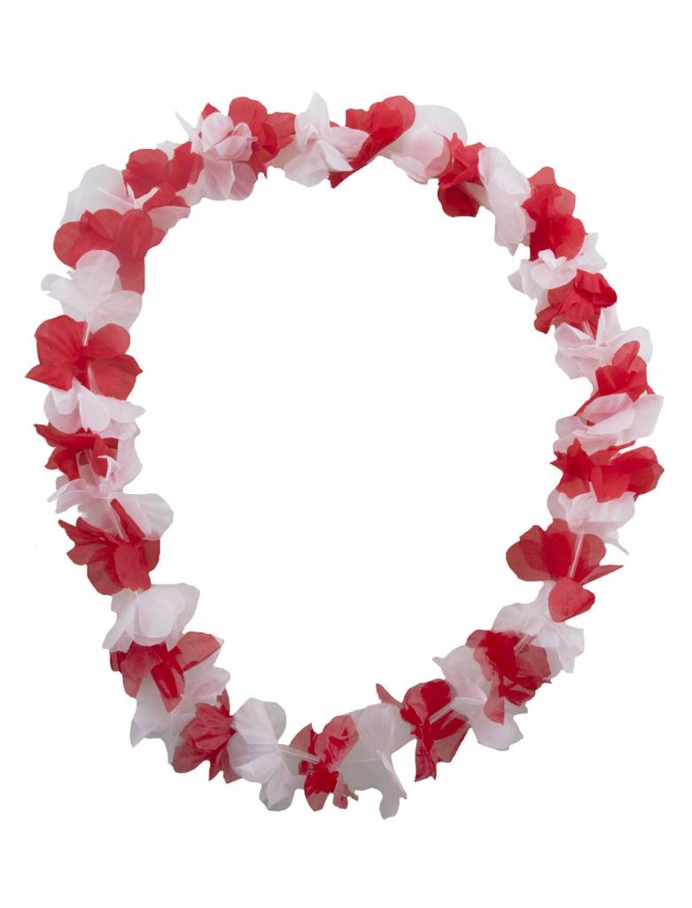 Bloemenslinger rood/wit