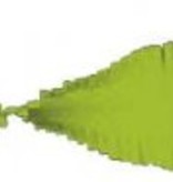 Crepe papier slinger lichtgroen 6 meter