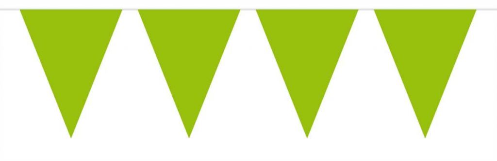 Groene Mini Vlaggenlijn - 3 meter afbeelding