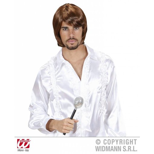 Pruik Popster 70's Bjorn